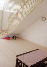 Jual Ruko di Kota Medan Dekat Istana Maimun, RS Regina Maris, Stasiun Medan, Medan Mall 0011.jpeg