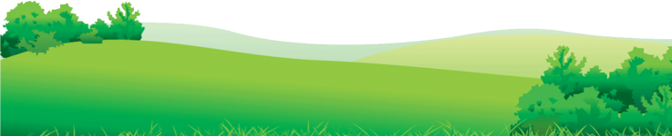 footer-bg.png