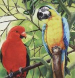 2 BURUNG.jpg