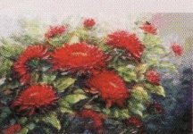 IMG3.jpg