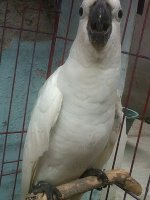 IMG00056-20130411-0852.jpg