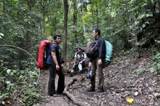 Pulau Sempu ( Jalur Trekking ).jpg