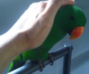 IMG00219-20130419-1215.jpg