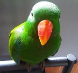 IMG00220-20130419-1215.jpg