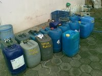 Urine Kelinci.jpg