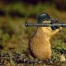battle