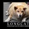 LongCaT