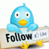followerlike