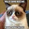 malusamakucing