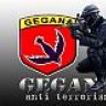 themarine46