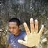 putradeewa