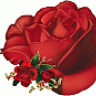 EmiratesRose