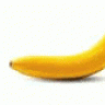 johnzia