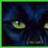 criminal_cat