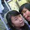 vhia_lest2008