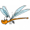 dragonfly