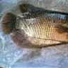 dejeefish