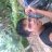 simangunsongkristian