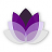 idntradewisefx