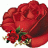 EmiratesRose